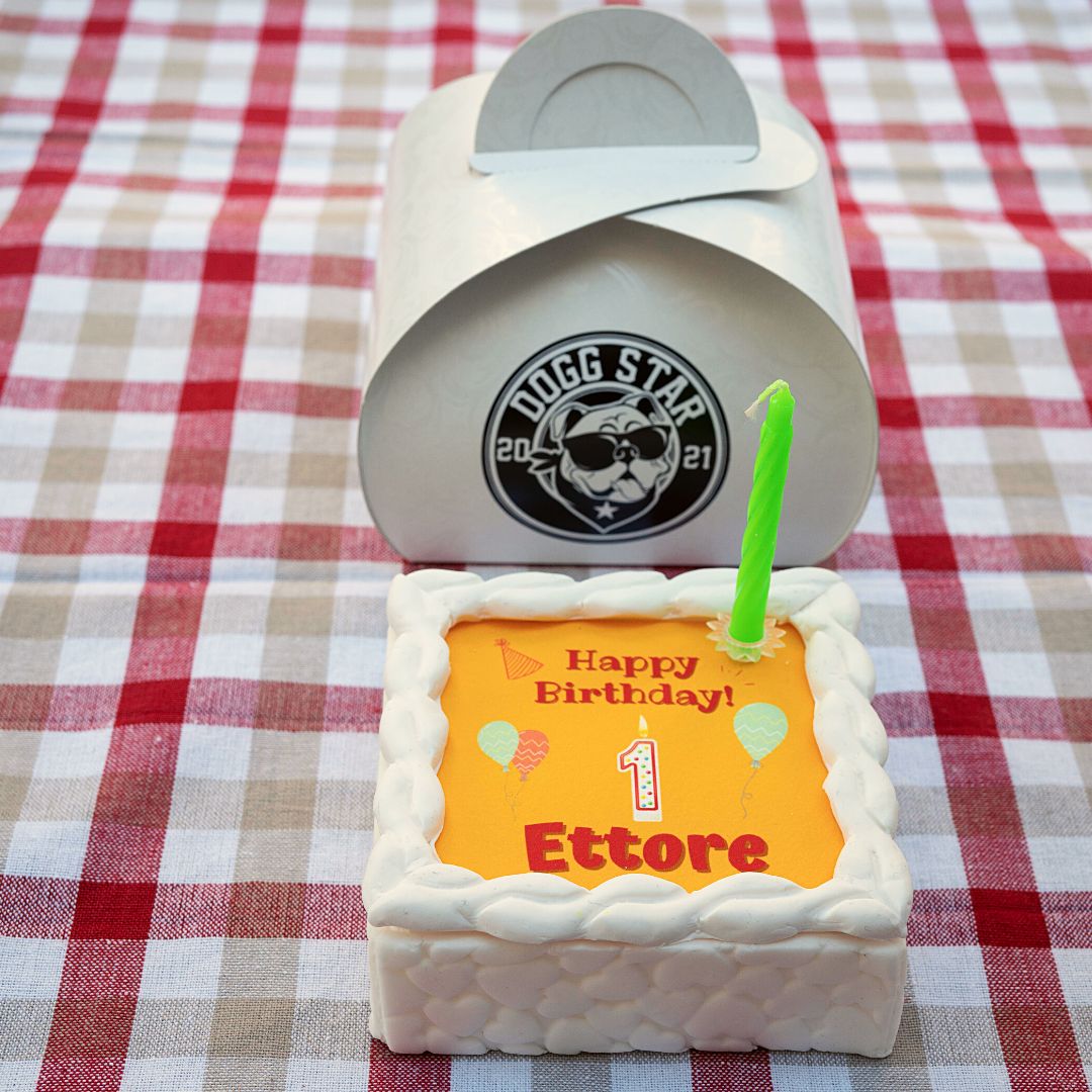 torta per cani personalizzabile