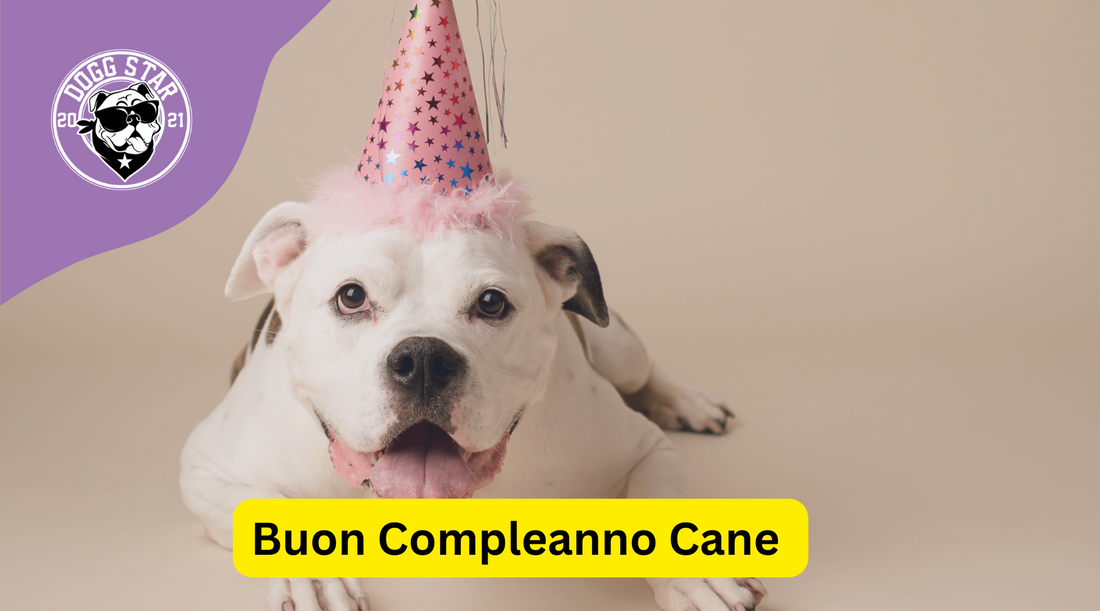 Buon Compleanno Cane: Idee per Festeggiare il Compleanno del Tuo Cane
