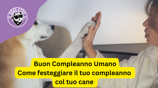 Tanti Auguri Umano: idee per festeggiare il tuo compleanno con il tuo cane.