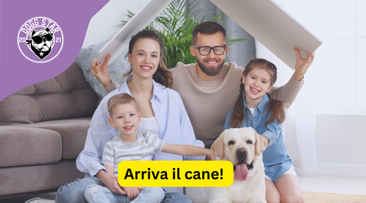 Arriva un Nuovo Cane a Casa 5 Consigli Utili per non esperti per Accogliere un Nuovo Cane nella Tua Famiglia