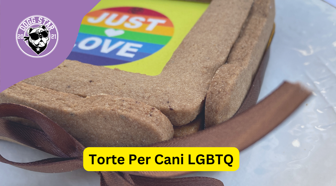 Amore Senza Confini: Le Torta per Cani Dogg Star a Tema LGBTQ