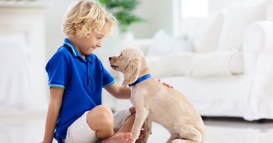 I 10 Cani Ideali per Famiglie con Bambini Piccoli: Amici Pelosi e Giocherelloni