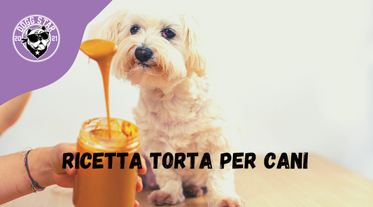 Torta Per Cani con Burro di Arachidi, ricetta casalinga facile e veloce.