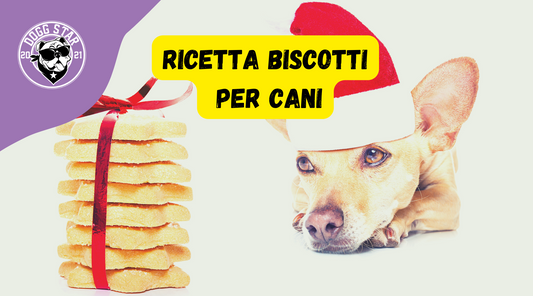 Biscotti Natalizi Per Cani, ricetta casalinga facile e veloce