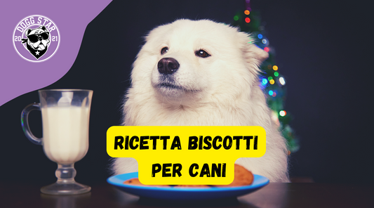 Biscotti Per Cani, ricetta casalinga facile e veloce