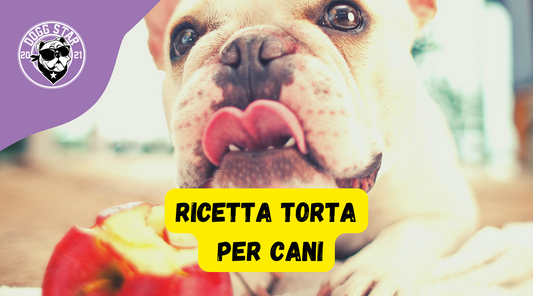 Torta Per Cani Mela e Patate, ricetta casalinga facile e veloce