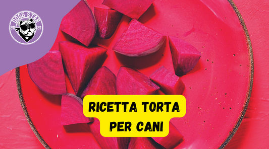 Torta Per Cani con Rape Rosse, ricetta casalinga facile e veloce