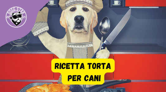 Torta Per Cani al Pollo, ricetta casalinga facile e veloce