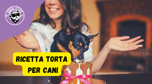 Torta Per Cani con Fegatini, ricetta casalinga facile e veloce