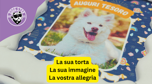 Fotogenica, la torta per cani con la sua immagine.