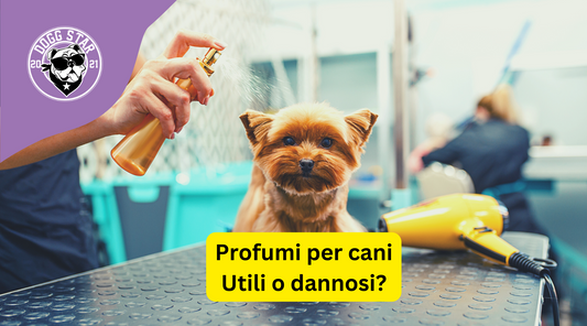 Profumi per Cani: Un tocco di freschezza o una scelta discutibile?