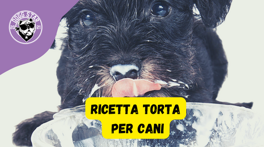 Torta Per Cani allo Yogurt, ricetta casalinga facile e veloce