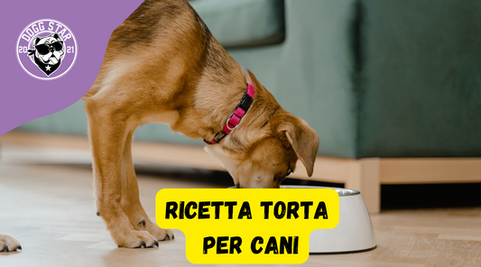 Torta Per Cani con la Patata, ricetta casalinga facile e veloce