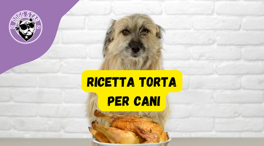 Torta Per Cani con Pollo e Carote, ricetta casalinga facile e veloce