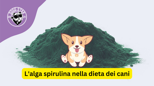 Gli Straordinari Benefici dell'Alga Spirulina nelle Diete per Cani