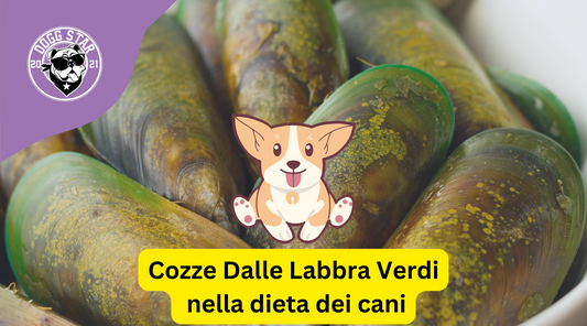 Le Sorprendenti Virtù delle Cozze dalle Labbra Verdi nella Dieta dei Cani