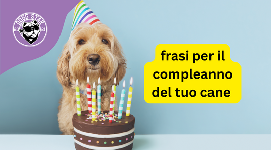 20 Frasi Speciali per Festeggiare il Compleanno del Tuo Fedele Amico a Quattro Zampe