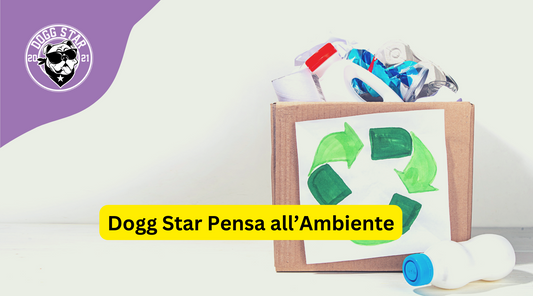 Un Passo Avanti per il Pianeta: Dogg Star e l'Iniziativa Ecologica di Riutilizzo delle Scatole