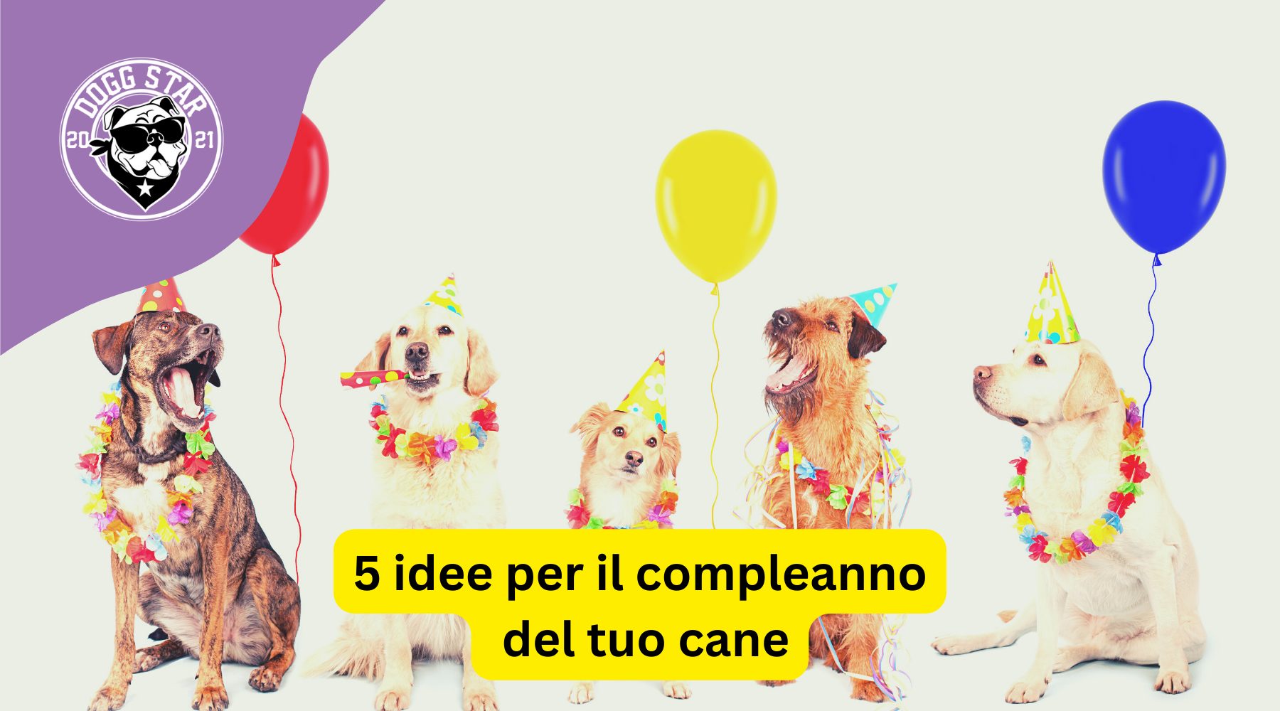 Torta Bomboniera Scatola Nero/Oro 18