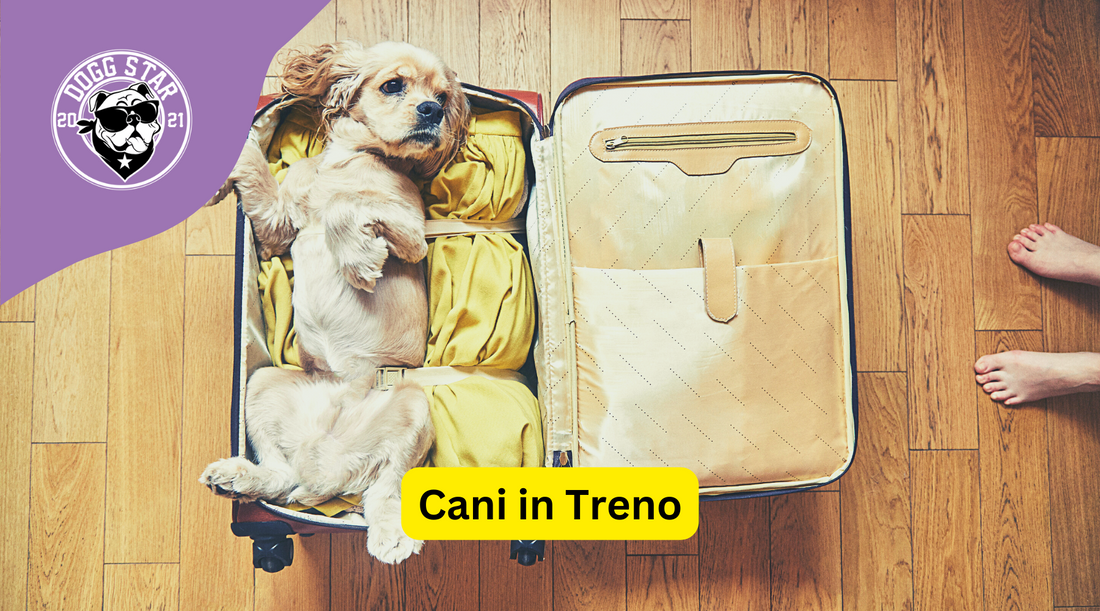 Guida Pratica: Come Portare il tuo Cane in Treno