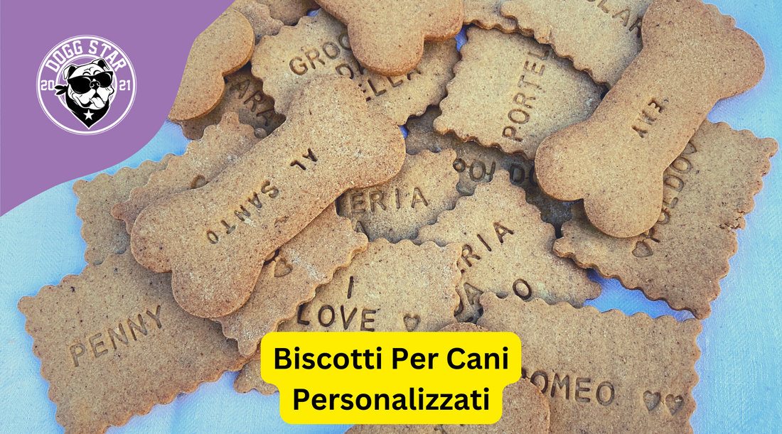 Biscotti per Cani Personalizzati: Un Regalo Unico per il Tuo Amico a 4 Zampe.