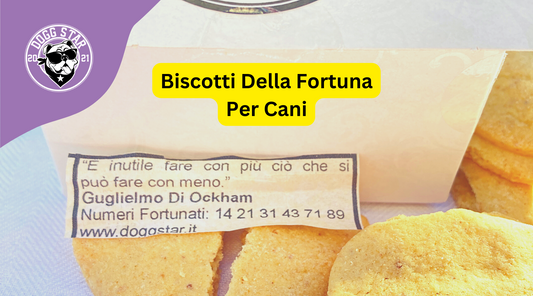 Regali per Cena con Gli Amici: Biscotti della Fortuna per Cani!