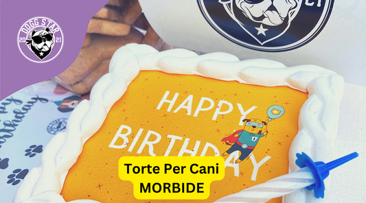 Torte di Compleanno per Cani: Morbide e Deliziose con Dogg Star!