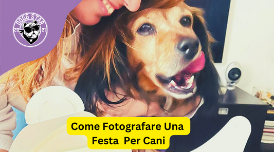 Come fotografare la festa del tuo cane