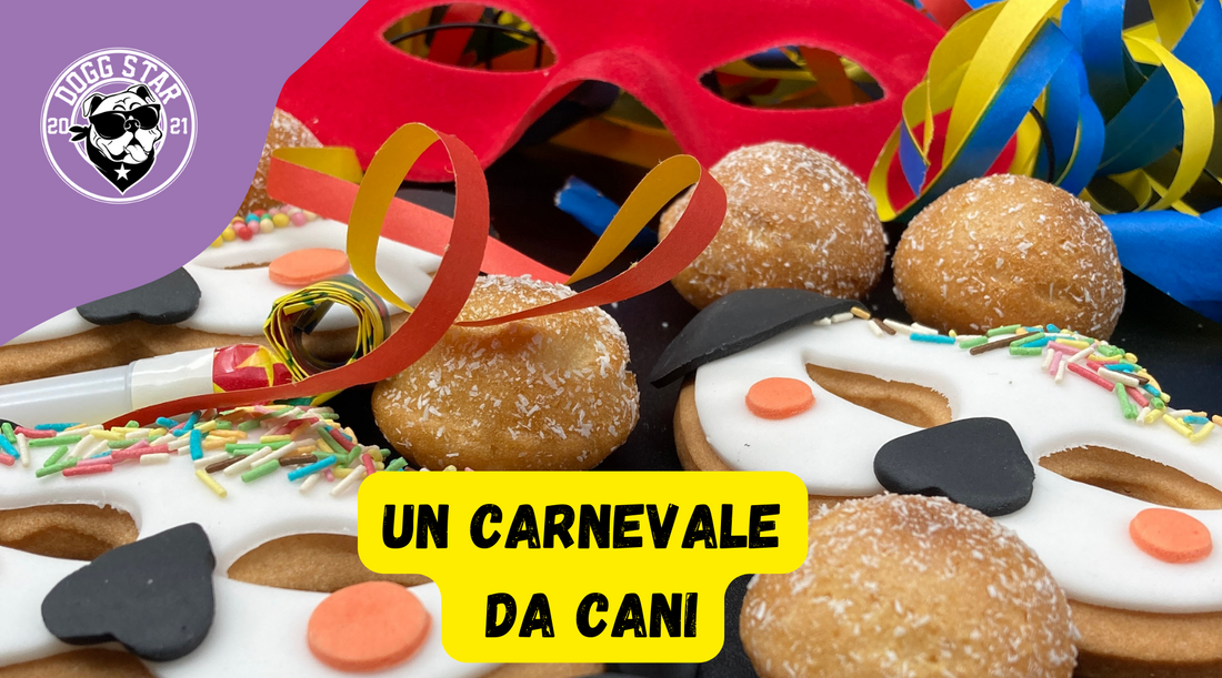 Carnevale Canino con Dogg Star: Biscotti e Frittelle che Faranno Ballare di Gioia il Tuo Amico a Quattro Zampe!