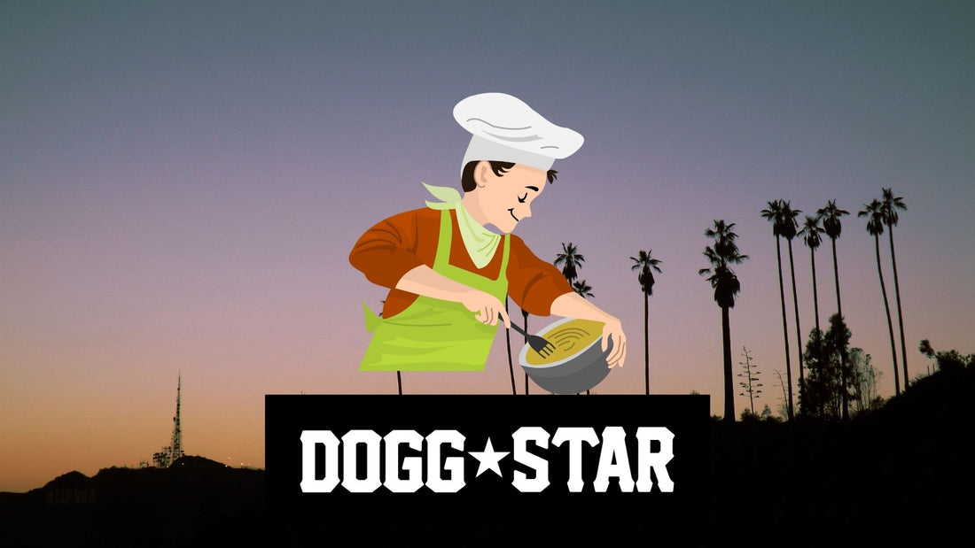 Ricette interessanti trovate in giro per il mondo. Torta per cani ricetta veloce Dogg Star Brasile.