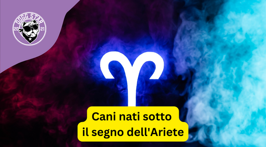 Cani e Segni Zodiacali: Il Fascino dell'Ariete a Quattro Zampe