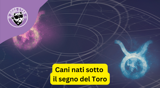 Cani nati sotto il segno del Toro. Ecco cosa devi sapere