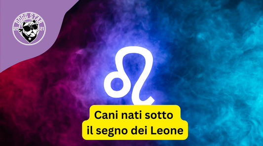 Cani nati sotto il segno del Leone. Ecco cosa devi sapere.