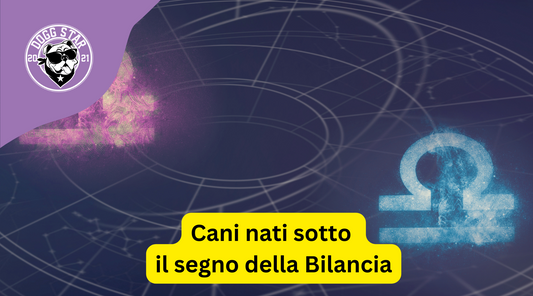 Cani nati sotto il segno della Bilancia. Ecco cosa devi sapere