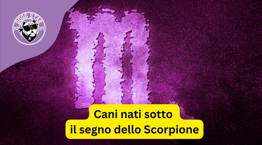 Cani nati sotto il segno dello Scorpione. Ecco cosa devi sapere.