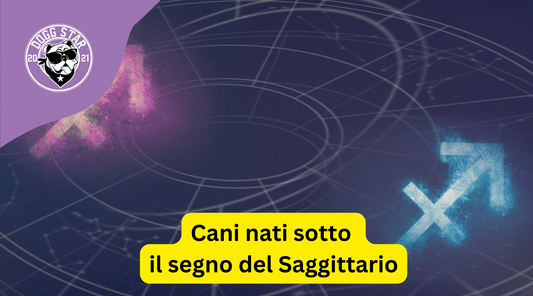 Cani nati sotto il segno del Sagittario