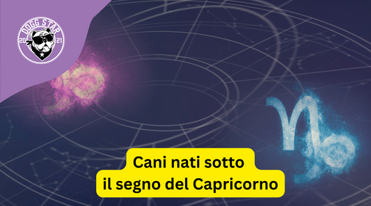 Cani nati sotto il segno del Capricorno. Ecco cosa devi sapere.