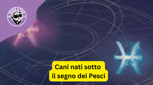 Cani nati sotto il segno dei Pesci. Ecco cosa devi sapere