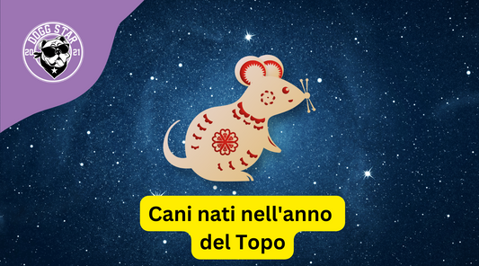 Cani e Astrologia Cinese: i nati sotto il segno del topo (2008, 2020)