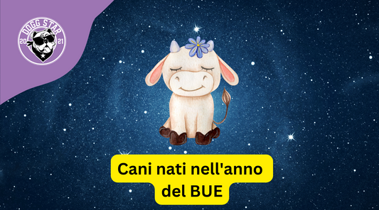 Cani e Astrologia Cinese: i nati sotto il segno del  Bue (2009, 2021)