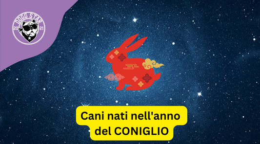 Cani e Astrologia Cinese: i nati sotto il segno del Coniglio  (2011, 2023)