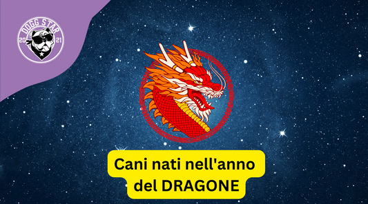 Cani e Astrologia Cinese: i nati sotto il segno del Dragone (2000, 2012...2024)