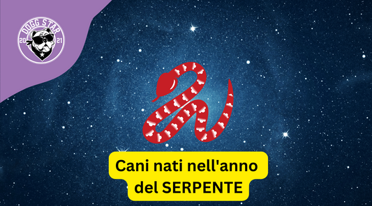 Cani e Astrologia Cinese: i nati sotto il segno del Serpente (2001, 2013)