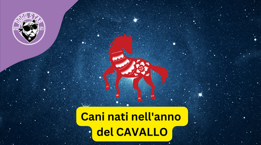 Cani e Astrologia Cinese: i nati sotto il segno del Cavallo (2002, 2014)