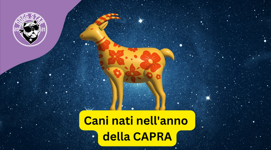 Cani e Astrologia Cinese: i nati sotto il segno della Capra (2003, 2015)