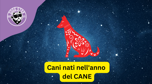 Cani e Astrologia Cinese: i nati sotto il segno del Cane  (2006, 2018)