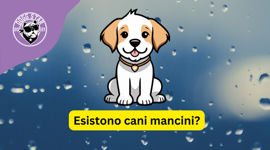 Esistono cani mancini?