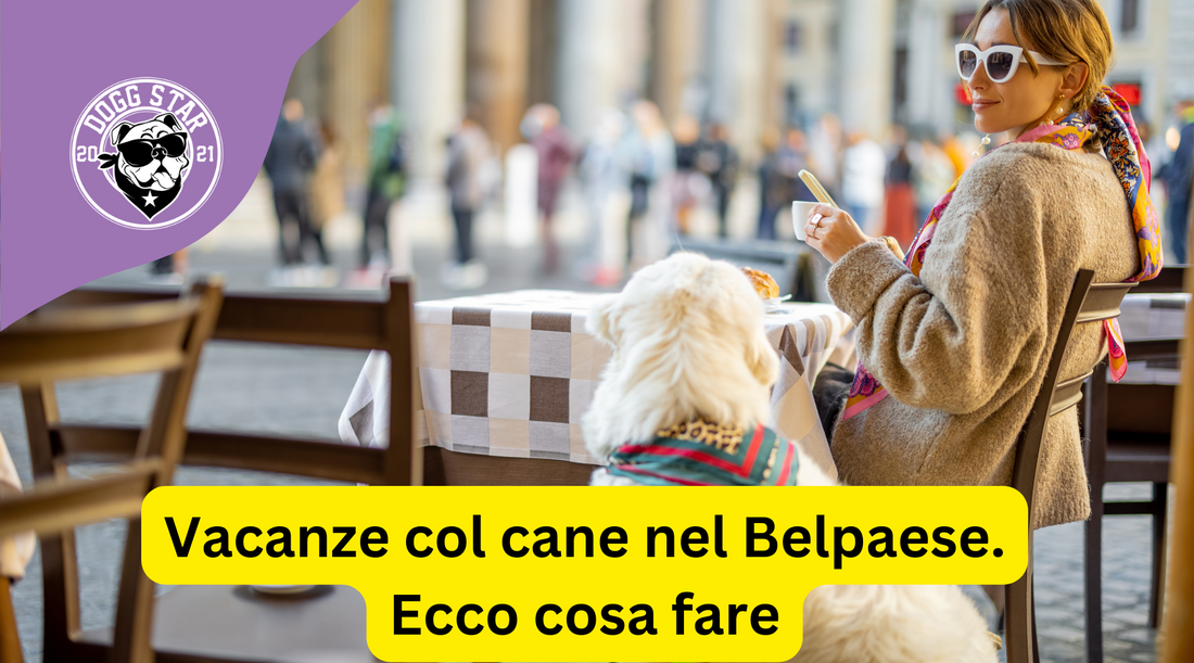 Guida 2023 per una Vacanza Indimenticabile in Italia con il Tuo Cane (dedicata a stranieri ma non solo)