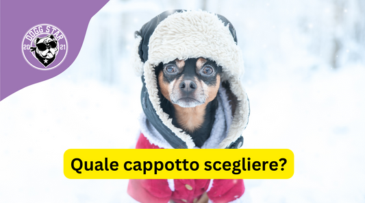 Confronto tra diversi tipi di cappotti per cani: quale scegliere?