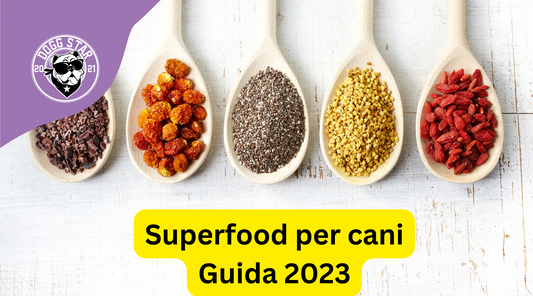 Alimenti Superfood per Cani: Un tocco di nutrizione extra per il tuo amico a quattro zampe